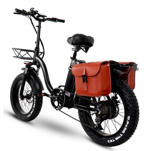 Electric bike 48V15A 20" 4.0 Fat Tire ebike Folding 750W 43KM/H Powerful electric Bicycle Mountain/Snow/beach e bike