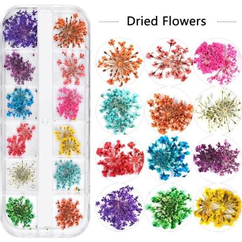 12 Grids Mix Dried Flowers Nail Decorations Jewelry Natural Floral Leaf Stickers 3D Nail Art Designs Polish Manicure Accessories