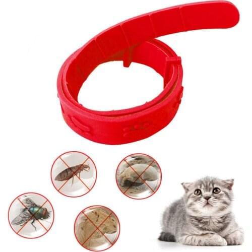 1PC Cat Anti Flea Mite Tick Collar Insect Mosquitoes No Flea Grooming Tool Quadruple Removal Flea Effect Kitten Remedy Necks