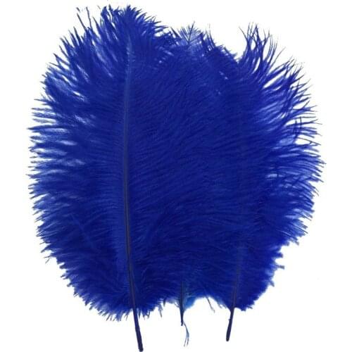 10Pcs/Lot Royal Blue Ostrich Feather for Crafts 15-70cm/6-28" Ostrich Feather Ostrich Plumes Wedding Feather Decoration Carnival