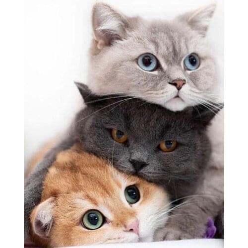 Cats DIY Diamond Painting "White black brown cats" Full Diamond Embroidery Cross Stitch Rhinestone Mosaic Painting