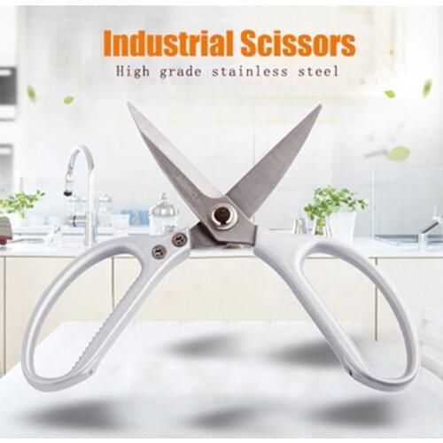 R'DEER Egg Scissors