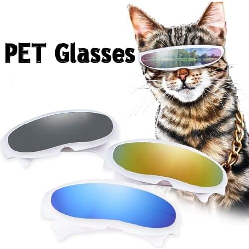 Товары для кошек Fanchicefanst China At AliExpress