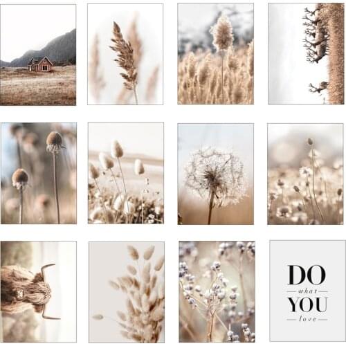 Beige Reed Dandelion Grass Cow Natural Wall Art Canvas Painting Nordic Posters And Prints Wall Pictures For Living Room Decor