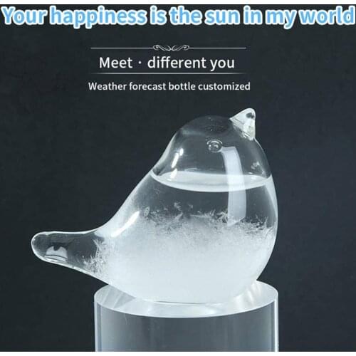 High Borosilicate Glass Weather Forecaster Liquid Barometer Predictor Desktop Weather Glass 30ml Transparent Bottle Home Decor
