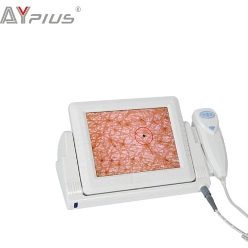 AY PLUS Home And Garden Products