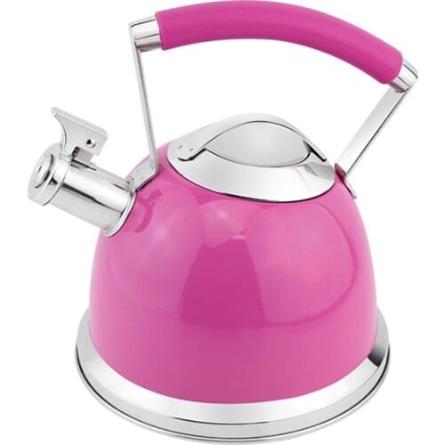 Hausroland New Type 18/8 Stainless Steel Coffee Teapot Whistling Kettle A790 2.5L