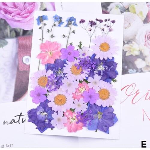 Pressed Flower Mixed Organic Dried Flowers DIY Art Floral Decors Collection Gift SUB Sale