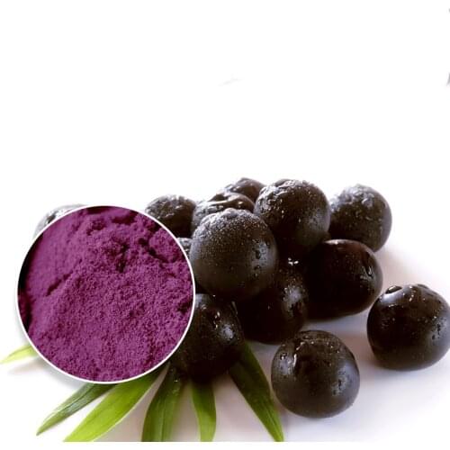 Organic Acai Berry Juice Powder