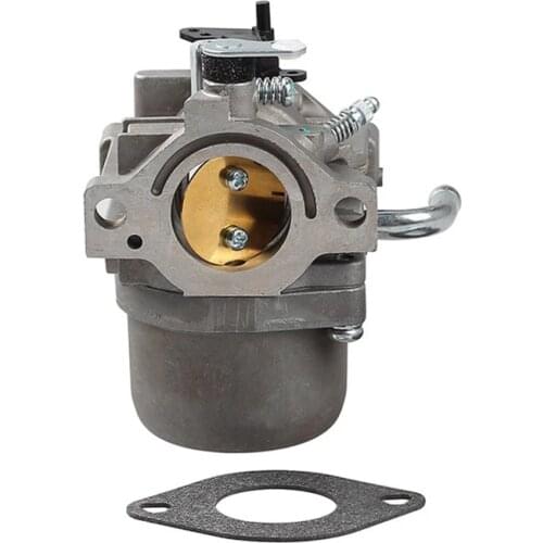 Carburetor Suitable for Briggs &Stratton 590399 796077 Engine cc760 Lawn Mower