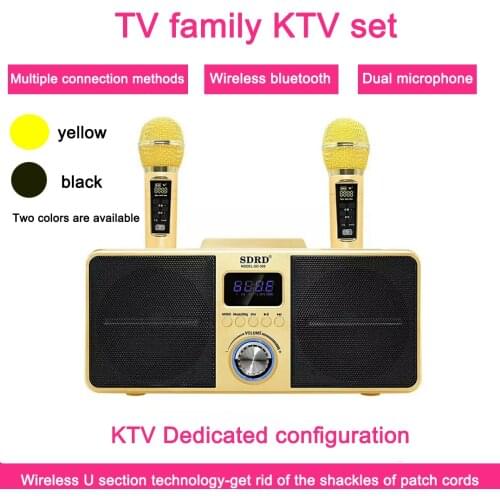 SD 309 Hot SD-309 Dual Wireless Microphone Bluetooth Speaker Mobile Wireless Karaoke Wireless Stereo Black 30W SDRD Speaker Set