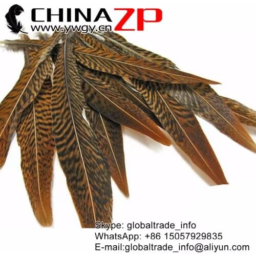 CHINAZP Feathers 15~20cm(6~8inch) Tip-Top Quality Natural Golden Pheasant Center Tail Feather Wholesale Carnival Hats Accessory