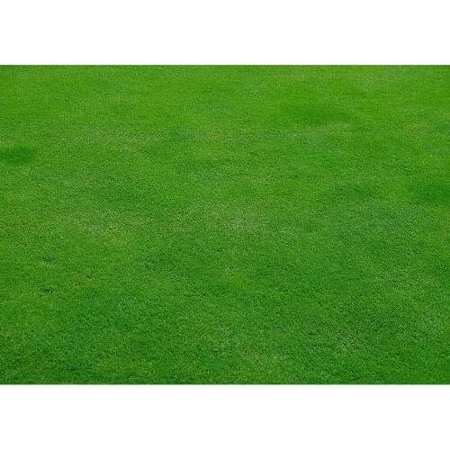 Green Grassland Photography Background Custom Vinyl Backdrop for Children Baby Portrait Pets Toy Photophone Fond Photo Props