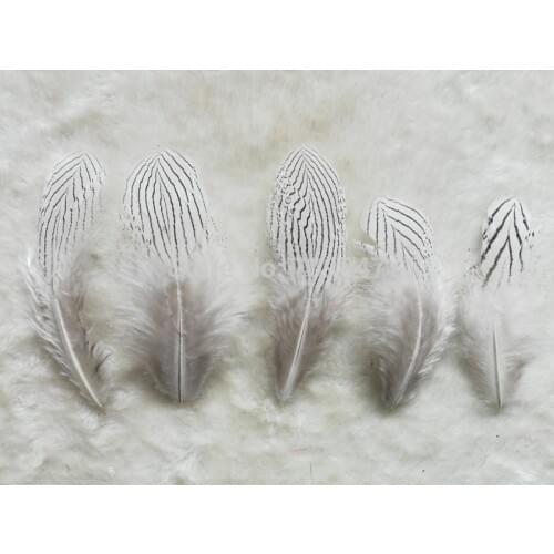 100pcs/lot 8-12cm SILVER PHEASANT BODY PLUMAGE FEATHERS Natural White Black Fly/Fishing/Craft,Loose Silver Pheasant Feathers