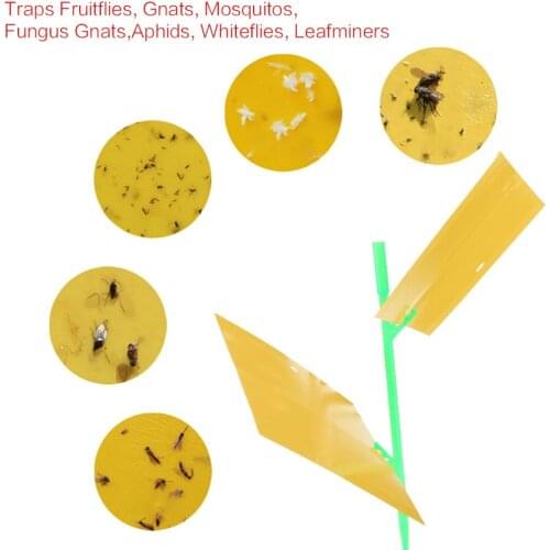 Flie Traps Bugs Sticky Board Dual-Sided Yellow Sticky Traps Flying Plant Insect Catcher Killer Pest Garden Control Outdoor Trap