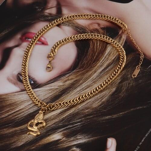 Punk Women Stainless Steel Necklace Long Pendant Necklace For Women Snake Necklace Gift Double Layer Necklace Women Jewelry