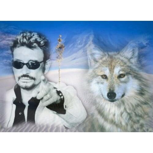 DIY diamond painting Superstar singer johnny hallyday cross stitch round Rhinestones embroidery Snow Wolf Full diamond painting
