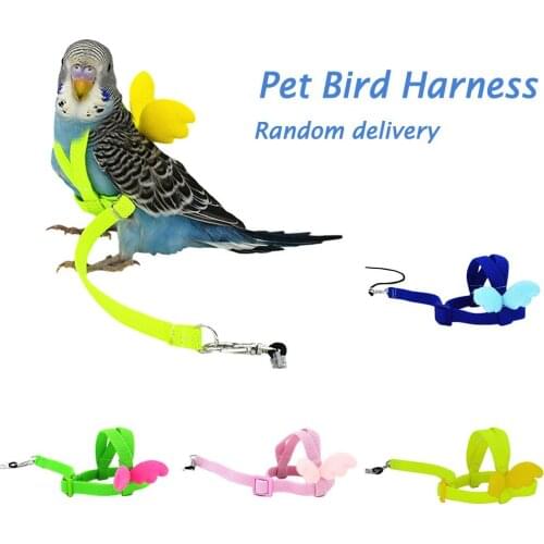 Adjustable Pet Parrot Bird Harness Leash Set Anti-bite Flying Training Outdoor Traction Rope For Small Birds Parrot Accessories