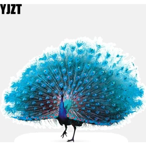 YJZT 14.8*10.6CM Fashion Birds Colored Peacock Decor Car Sticker Graphic Accessories High Quality 11A0006