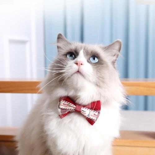 Cats Bells Bow-Knot Collars Adjustable Buckles Fashion Pet Cat Small Dogs Chihuahua Puppy Collar Supplies For Accessories