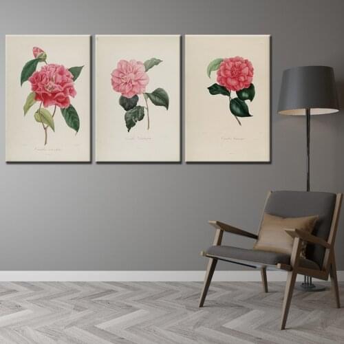 Kinds color of Camellia flowers 3 panel Nordic Art Print Picture Wall art poster For Living Room Drop Shipping Free shipping