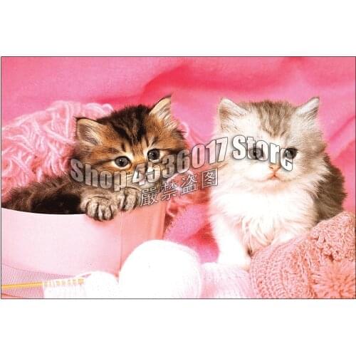 Diamond Mosaic Baby Animals Photography Cats Full 5D Diy Diamond Painting Diamond Embroidery Home Decoration Cross Stitch Kit