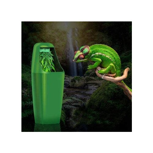 Automatic Reptile Drinking Water Filter Fountain Feeding Drinkers Tools Chameleon Lizard Dispenser Amphibian