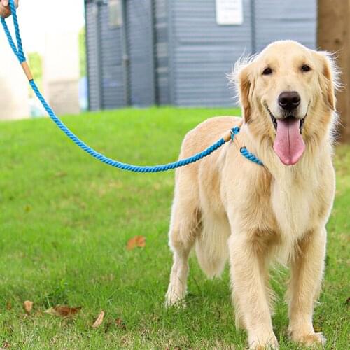 Pet Dog Collar Traction Rope Dogs Running Walking Leash Leads Safe Puppy Climb Mountain Leashes Pets Training Supplies