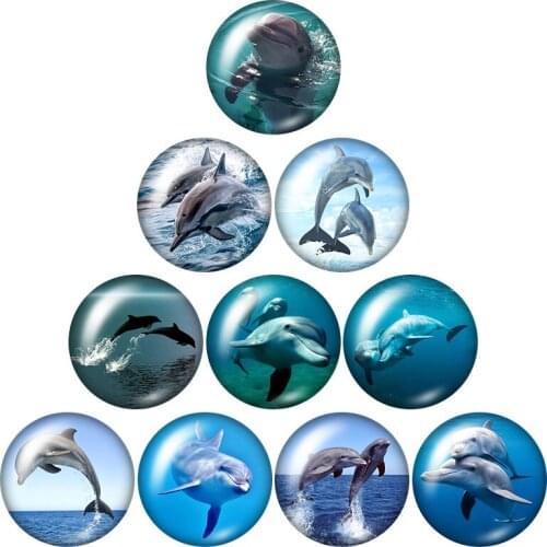 Marine life Cute dolphin Friends 10pcs mixed 12mm/16mm/18mm/25mm Round photo glass cabochon demo flat back Making findings