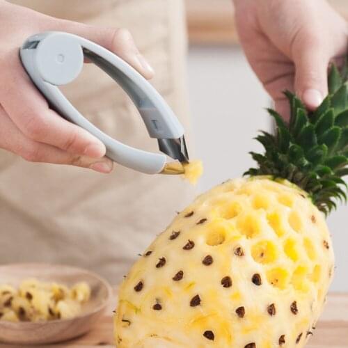 Fruit Seed Remover Strawberry Pineapple Eye Remover Fruits and Vegetables Practical Seed Remover Fruit Tools Kitchen Gadgets