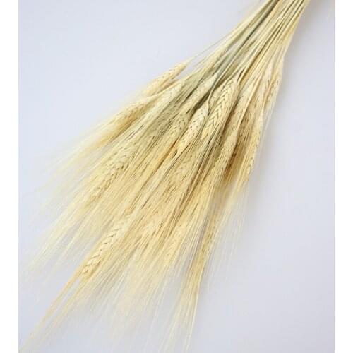 Dried Wheat Flower 80 pcs White, Blue, Yellow Wedding decor, home decor, dried grass natural preserved plant natural flower dry