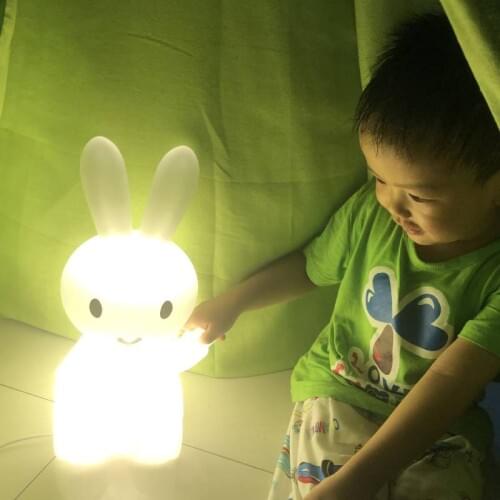WSQCCM LED Bulbs