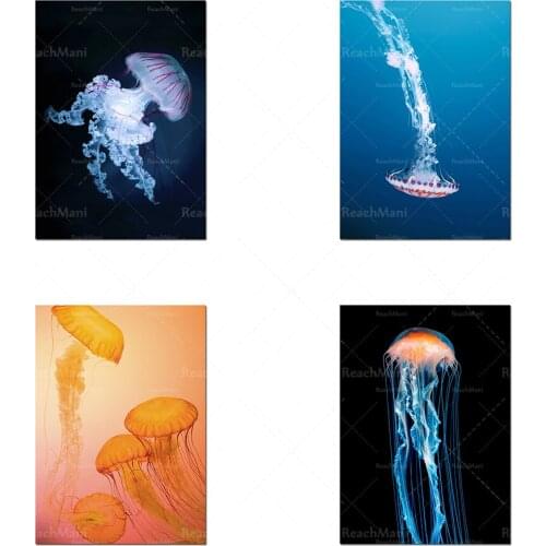 Image de méduse Décoration de la maison Vie sous-marine Art mural imprimé moderne