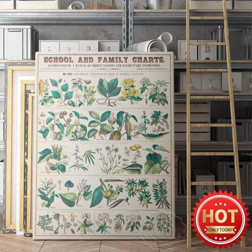 School And Family Charts Prints Poster, Flower Plant Wall Picture, Botanical Educational Wall Stickers, Living Room Home Decor