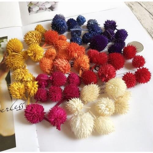 10pcs Colorful Real Dried Flower Plant For Aromatherapy Candle Epoxy Resin Pendant Necklace Jewelry Making Craft Diy Accessories