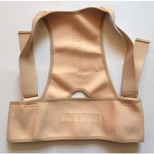 Align Your Spine back brace support garment Back Support Brace