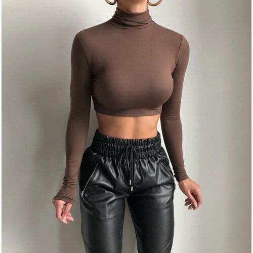 Turtleneck Long SLeeve White Sexy Crop Tops Casual Fashion T Shirts Black Women Autumn Winter Tees Brown Basic