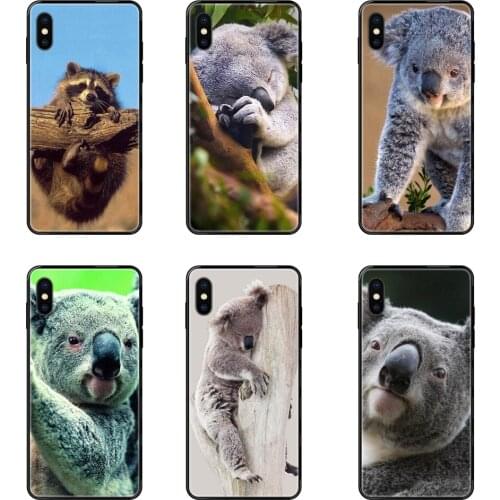 Black Soft TPU Live Love Phone Amazing For Huawei Honor 20 20i 20s 10 10i 6A 7A 7X 8C 8X 9 9A 9I 9X Lite Pro Animal Koala Cute