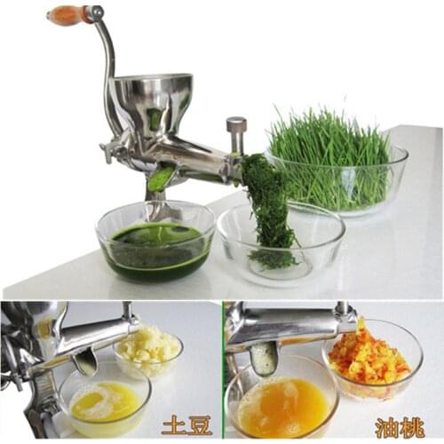 Stainless steel manual pear apple lemon orange juicer extractor hand celery cabbage pine needle aloe juicer machine ZF