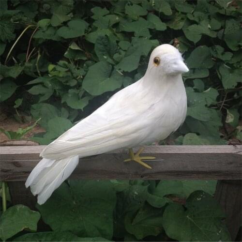 Cute simulation Peace Dove model foam&furs white dove doll gift about 25cm 2296