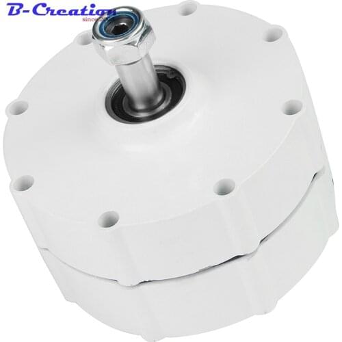 Low Speed Rare Earth Brushless Permanent Magnet Generator 800w 12 v 24 v 48 v / Bike Emergency DIY Small Alternator