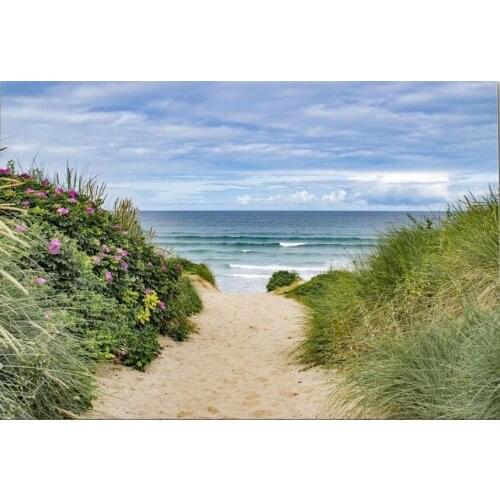 Path to the beach fistral newquay Photo Art Film Print Silk Poster for Your Home Wall Decor 24x36inch