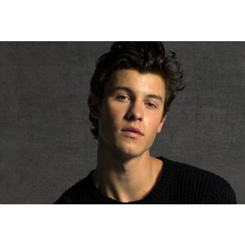 Custom Shawn Mendes High Art Silk Canvas Poster Print Movie Picture For Living Room Wall Decor Wall Art Posters Home Decor