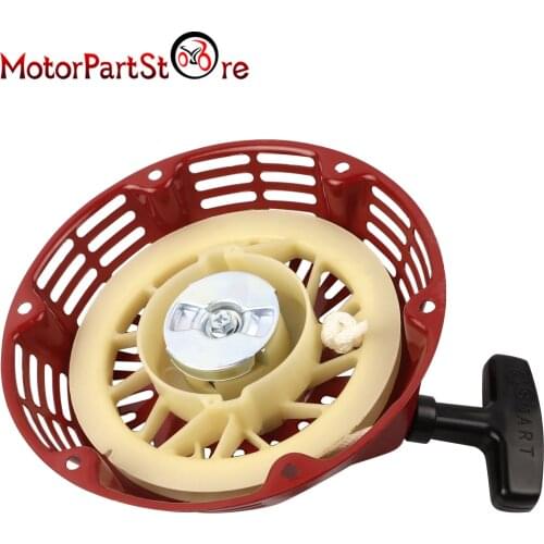FLYPIG Motorcycle Motors