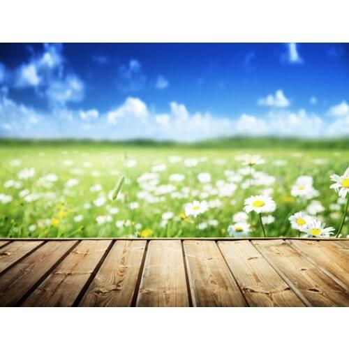 Free shipping wood floor spring scenic foto photography backdrops vinyl,baby children backgrounds for photo studio 200x300cm