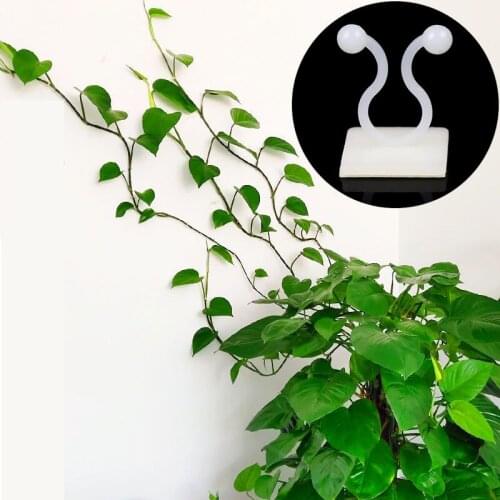 10/30/50Pcs Plant Climbing Wall Self-Adhesive Fixture Vine Buckle Hook For Home Garden Decoration Clips Sticky Hanging Holder