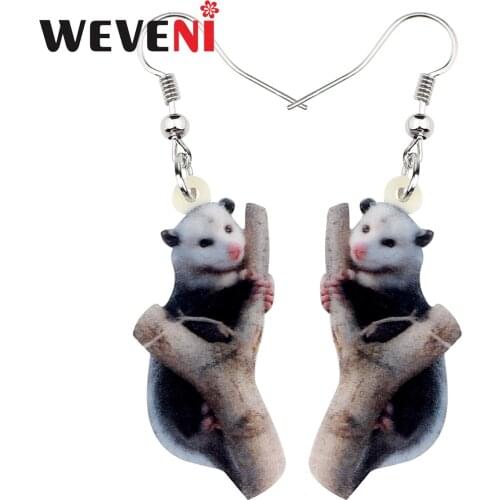 WEVENI Statement Acrylic Possum Earrings Drop Dangle Novelty Animal Jewelry For Women Girls Teens Gift Charms Wholesale Bijoux