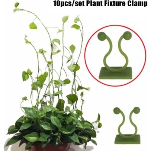 10pcs/set Plant Climbing Wall Clip Invisible Vines Self Adhesive Sticky Hook Fixture Garden Accessories
