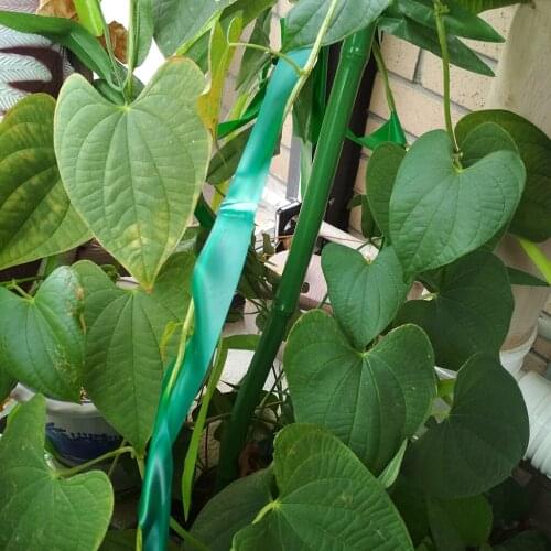 Garden Stretch Tie Tape Plant Ribbon Garden Green Vinyl Stake, 46m/Roll, 150feet,Durable, strong and flexible, garden helper