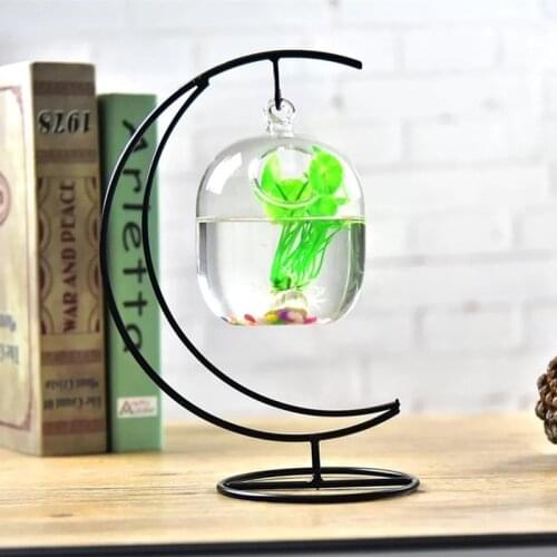 Suspended Transparent Hanging Glass Fish Tank Infusion Bottle Aquarium Flower Plant Vase Flower Vase for Home Decoration